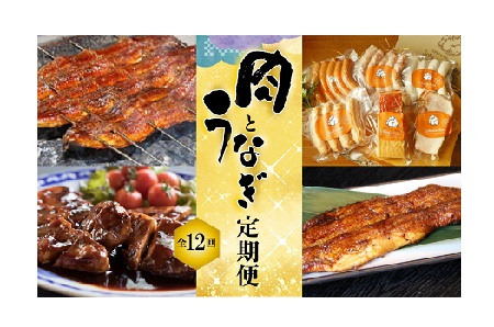 うなぎとお肉≪定期便≫(全12回お届け) H028-014