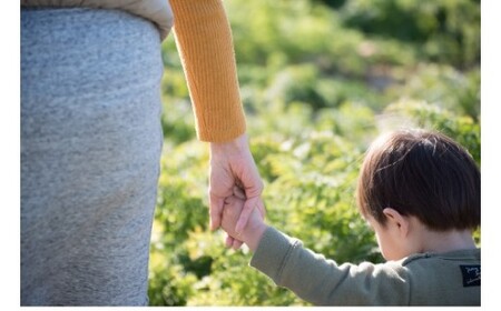 メディア出演多数!! 【期間限定】3/15まで受付!(訳あり)鈴盛農園の甘~いにんじん 『スウィートキャロットリリィ』 5kg 人参 甘い ご家庭用 ジュース サラダ スムージー ジューシー 安心 H022-019