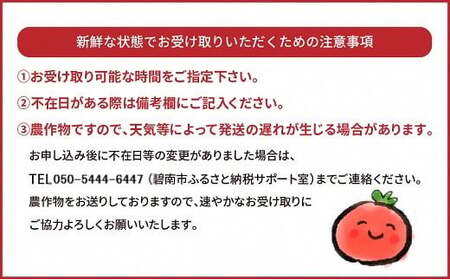 【お試し】たった3ヶ月しか食べられない 幻のファーストトマト H004-120