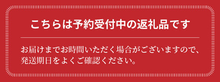 【お試し】期間限定！プレミアムフルーツトマト　H004-145