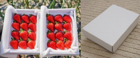 【12月以降順次発送】まるで赤いサファイア!!丹精込めた完熟いちご!! 約450g H130-012