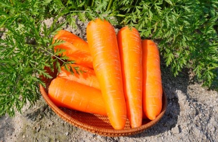 人参100%無添加・無着色!!美味しい人参ジュース!! 720ml×2本 H132-026