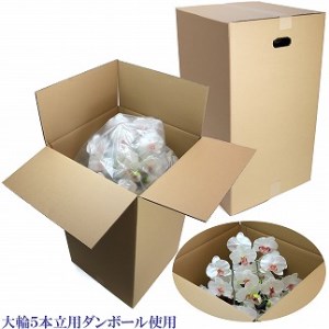 綺麗で丈夫な三河陶器で贈る光触媒胡蝶蘭大輪５本立（黒の陶器×白桜色