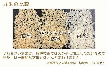 やわらかい玄米 新潟県産コシヒカリ 900g×4袋　小分け 米 こめ コメ ごはん 栄養豊富 簡単 便利 美容 健康 新食感 もちもち 安心安全なヤマトライス H074-684