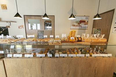 グルテンフリー 米粉食パン 窯出しコシヒカリ 3本 H083-018