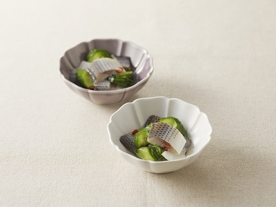 酢〆専門店こだわりが詰った逸品セット H021-067