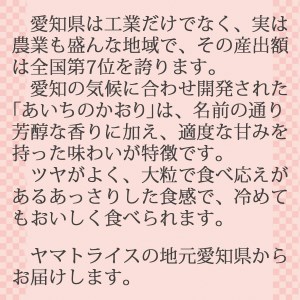 7月14日まで コロナ支援 訳あり 無洗米 愛知県産あいちのかおり5kg 5kg 1袋 安心安全なヤマトライス H074 249 愛知県碧南市 ふるさと納税サイト ふるなび
