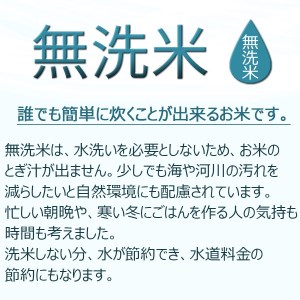 7月14日まで コロナ支援 訳あり 無洗米 愛知県産あいちのかおり5kg 5kg 1袋 安心安全なヤマトライス H074 249 愛知県碧南市 ふるさと納税サイト ふるなび