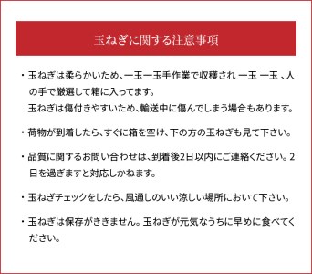 訳あり 新玉ねぎ 定期便 5kg×4回　生がおいしい 神重農産のブランド玉ねぎ「旬玉」 ブランド玉ねぎ 玉ねぎ 新玉ねぎ 国産 愛知県産 野菜 やさい 農家直送 畑直送 旬 たまねぎ 先行予約 旬 特産 高評価 高リピート 人気 H105-129