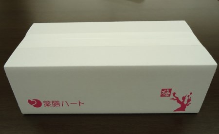 高級和漢入り梅エキス 葯膳梅 H001-063 | 愛知県碧南市 | ふるさと納税