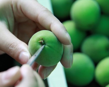 和漢入り梅エキス 葯膳梅 H001-063