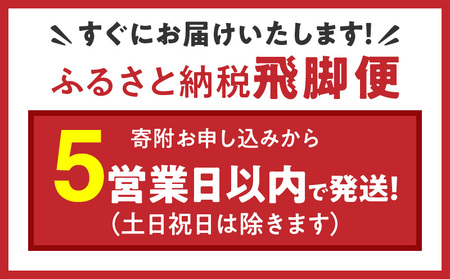 愛知県産コシヒカリ 5kg　安心安全なヤマトライス　H074-548