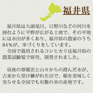 とっておきし新春福袋 ふるさと納税 ～東急グループのふるさと納税