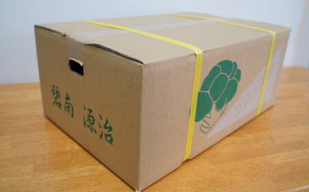 【収穫当日に発送します】豊かな大地“へきなん”から贈る　ブロッコリー約11本【期間限定】　H139-022