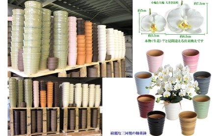 綺麗で丈夫な三河陶器で贈る 光触媒胡蝶蘭小輪３本立（白の陶器×白桃色の花） H100-083