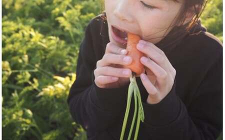 【期間限定】訳あり！こどもも食べられる甘み！「マドンナキャロット」 2kg にんじん 人参 ニンジン 野菜 やさい 国産 碧南市 健康 食品ロス削減 甘い 先行予約 旬 特産 高評価 高リピート 人気 H105-134