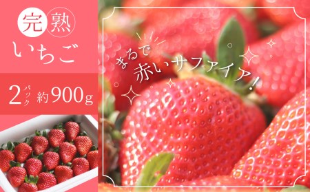 【全12回】厳選！季節を彩る旬のバラエティ定期便　H028-079