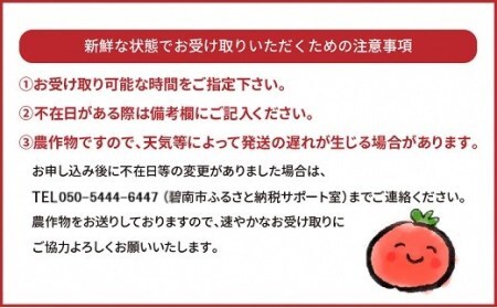 まるでトマトの宝石箱！フルーツジュエリートマト 1.6kg H004-162