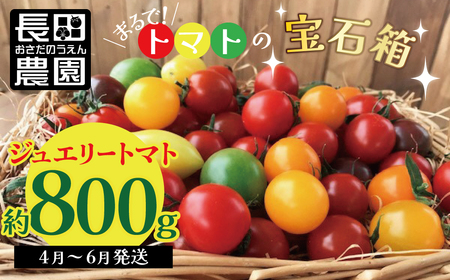 【2026年度予約分】【お試し】まるでトマトの宝石箱!フルーツジュエリートマト 約800g 長田農園 産地直送 トマト とまと 野菜 やさい フルーツ サラダ 濃厚 甘い ご褒美 プレゼント 美容 健康 リピート多数 人気 高評価 先行受付 数量限定 碧南市 H004-115