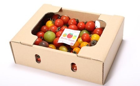 【お試し】まるでトマトの宝石箱！フルーツジュエリートマト 800g H004-115