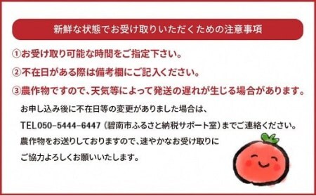 【2026年発送】皆さんの応援から実った シャインマスカット 約1.2kg（2房）【数量限定】 フルーツ 果物 長田農園 産地直送 甘い ご褒美 プレゼント 美容 健康 リピート多数 人気 高評価 碧南市 H004-151