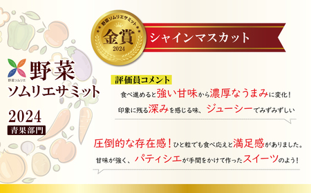 【2026年発送】特大房！ みなさんの応援から大きく実った特大シャインマスカット 約800g以上（1房）【数量限定】 フルーツ 果物 長田農園 産地直送 甘い ご褒美 プレゼント 美容 健康 リピート多数 人気 高評価 碧南市 H004-152