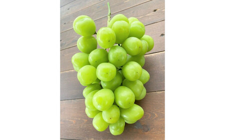 【2026年発送】特大房！ みなさんの応援から大きく実った特大シャインマスカット 約800g以上（1房）【数量限定】 フルーツ 果物 長田農園 産地直送 甘い ご褒美 プレゼント 美容 健康 リピート多数 人気 高評価 碧南市 H004-152