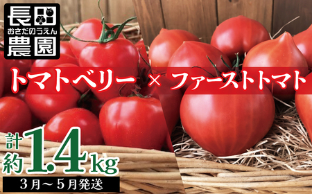 【人気No.1セット】ファンにならずにいられない ファーストトマト＆トマトベリー 計1.4kｇ（3月～5月で発送）　H004-149