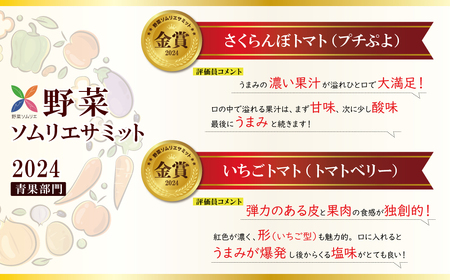 【人気No.1セット】ファンにならずにいられない ファーストトマト＆トマトベリー 計1.4kｇ（3月～5月で発送）　H004-149