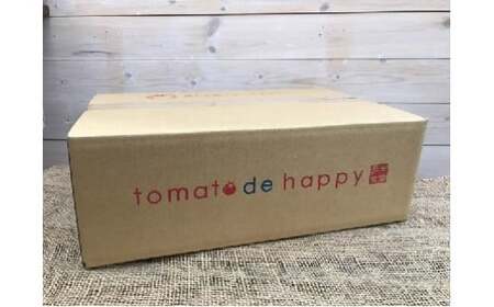 【2026年度予約分】【お試し】甘さ抜群!トマト嫌いでも食べられるトマトベリー 700g（1月～4月発送） H004-125