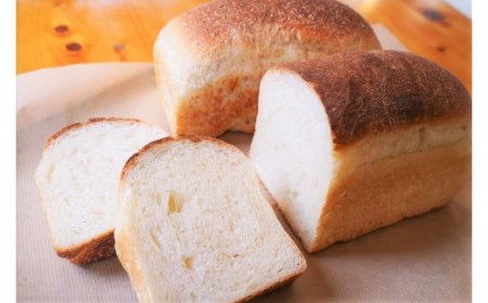 国産小麦・天然酵母 乳卵バター不使用 石窯焼きパンセット H069-024