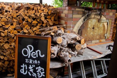 国産小麦・天然酵母 乳卵バター不使用 石窯焼きパンセット H069-024