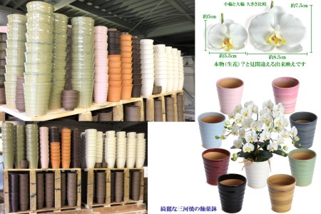 綺麗で丈夫な三河陶器で贈る光触媒胡蝶蘭大輪３本立（茶の陶器×バイオレット色の花） H100-092