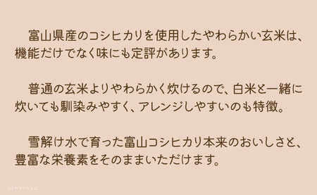 やわらかい玄米 900g×4袋 ※定期便6回 小分け 米 こめ コメ ごはん 栄養豊富 簡単 便利 美容 健康 新食感 もちもち 安心安全なヤマトライス H074-644