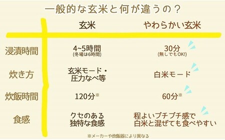 やわらかい玄米 900g×4袋 ※定期便6回 小分け 米 こめ コメ ごはん 栄養豊富 簡単 便利 美容 健康 新食感 もちもち 安心安全なヤマトライス H074-644