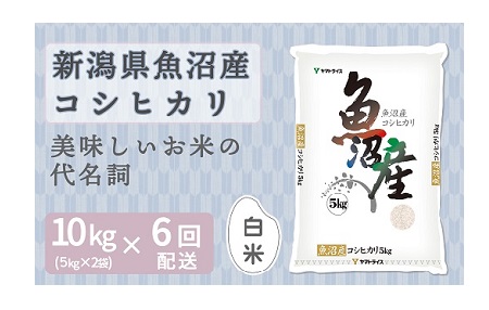 新潟県魚沼産コシヒカリ 10kg ※定期便6回 下旬発送 安心安全なヤマトライス H074-162