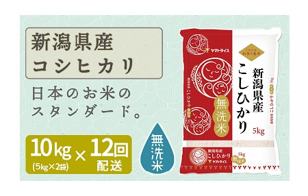 新潟県産コシヒカリ 無洗米 10kg ※定期便12回 下旬発送 安心安全なヤマトライス H074-167