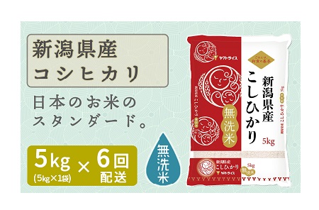 新潟県産コシヒカリ 無洗米 5kg 定期便6回 下旬発送 安心安全なヤマトライス H074 170 愛知県碧南市 ふるさと納税サイト ふるなび