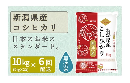 新潟県産コシヒカリ 無洗米 10kg ※定期便6回 下旬発送 安心安全なヤマトライス H074-164
