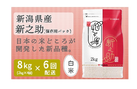<安心安全なヤマトライス> 新潟県産新之助 8kg ※定期便6回 H074-038