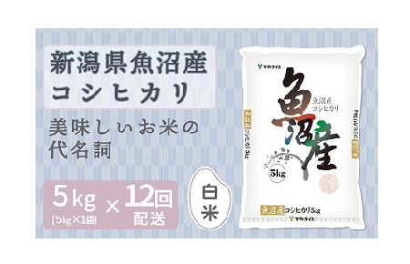 新潟県魚沼産コシヒカリ 5kg ※定期便12回 下旬発送 安心安全なヤマトライス H074-171