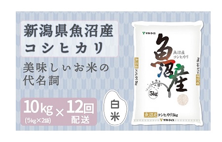 新潟県魚沼産コシヒカリ 10kg ※定期便12回 下旬発送 安心安全なヤマトライス H074-165