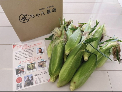 【2026年発送】【お試し】朝採り直送 メロンより甘い 生とうもろこし“にっこりコーン” 3本 H095-028