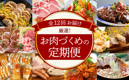 【全12回】厳選！お肉づくめの定期便　H028-069