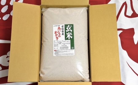 愛知県産 あいちのかおり玄米10kg H017-069