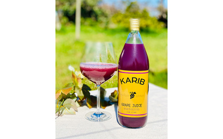 No.088 【ぶどう屋さんすずき】フィトケミカルたっぷりギフトセット(小)