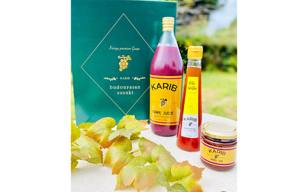 No.088 【ぶどう屋さんすずき】フィトケミカルたっぷりギフトセット(小)