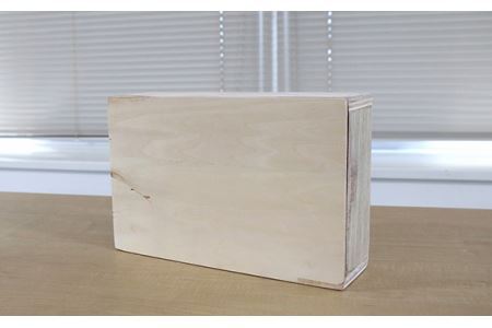 No.291 かつなりくんミニカホン（TCA-8）