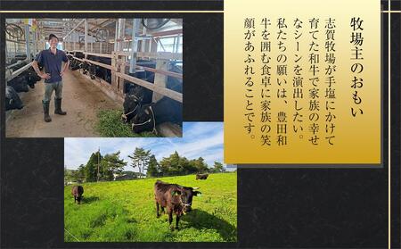 豊田和牛 上ロースすき焼き400g 和牛