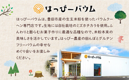 豊田市産米粉のバウムクーヘンセット（ソフト・ハード各1個） バームクーヘン